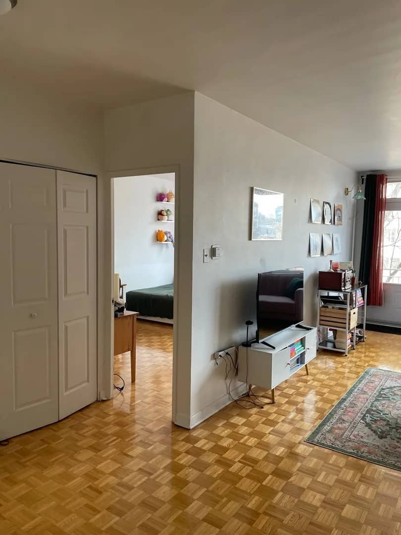 1 Bed 1 Bath Apartment Lease Transfer near McGill