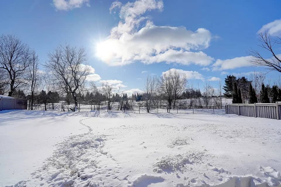 Newly Built 1-Bedroom Walk-Up Basement Unit in Oak Ridges