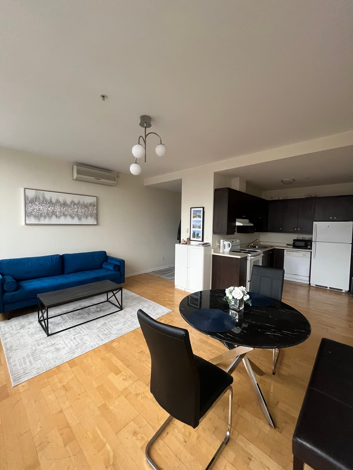 3½ à louer Côte-des-Neiges - Notre-Dame-de-Grâce, Montréal — photo 1 (Appartement 3½ meuble à Montréal)