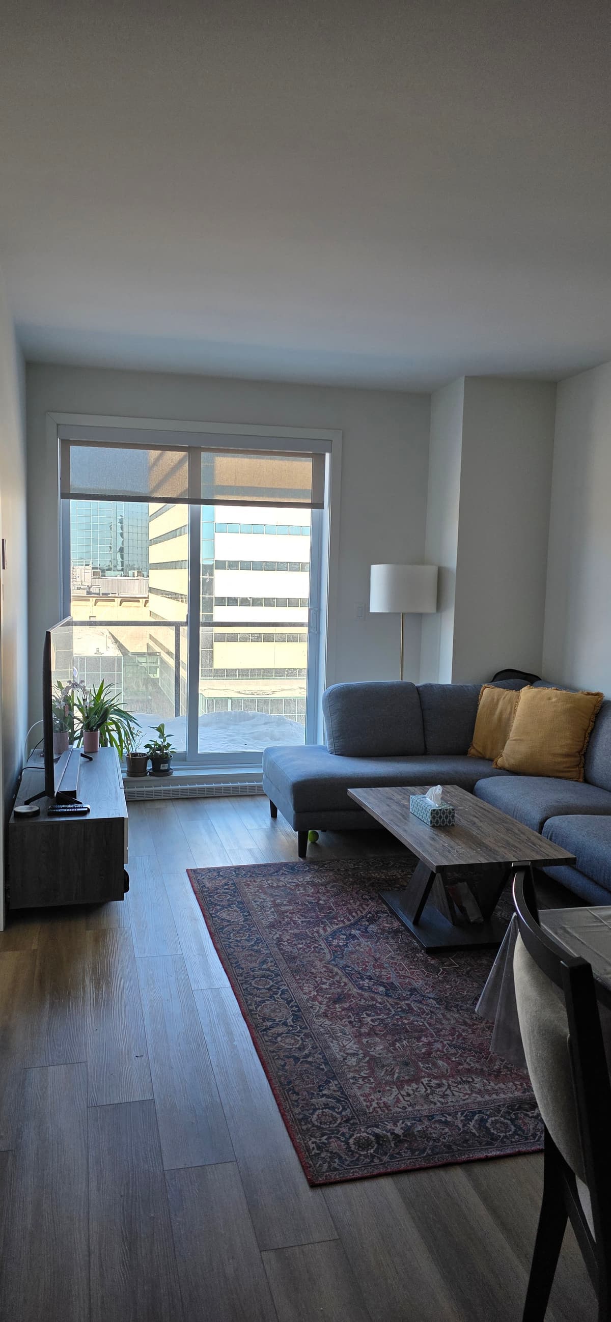3½ à louer Sainte-Foy–Sillery, Québec — photo 1 (Condo 3½ à Québec)