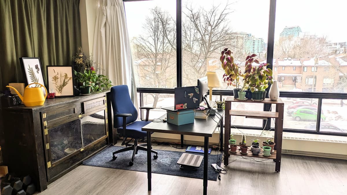 Studio à louer Verdun, Montréal — photo 1 (Studio à Montréal)