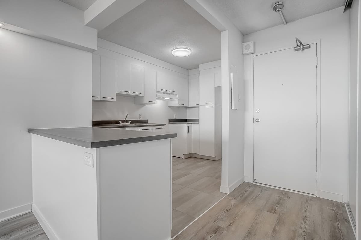 3½ à louer Hull, Gatineau — photo 1 (Appartement 3½ à Gatineau)