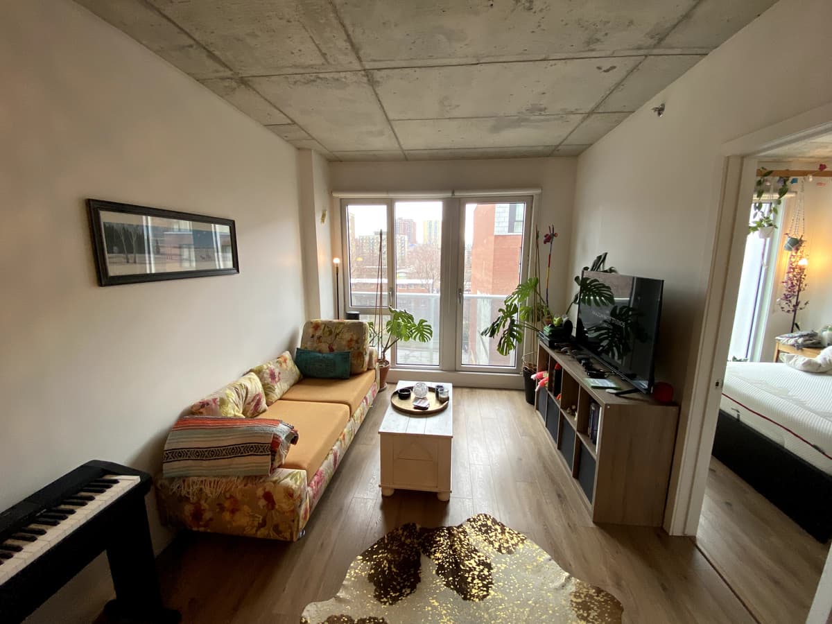 3½ à louer Ville-Marie, Montréal — photo 1 (Appartement 3 ½ à Montréal. Plantes incluses et place de stationnement souterrain)