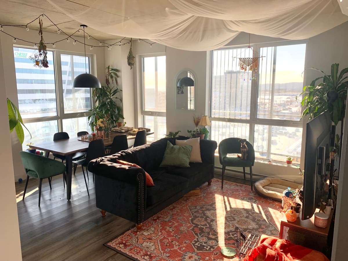 4½ à louer La Cité-Limoilou, Québec — photo 1 (Appartement 4½ à Québec)