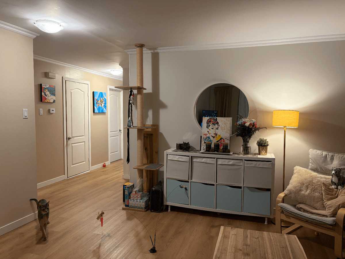 Photo 3