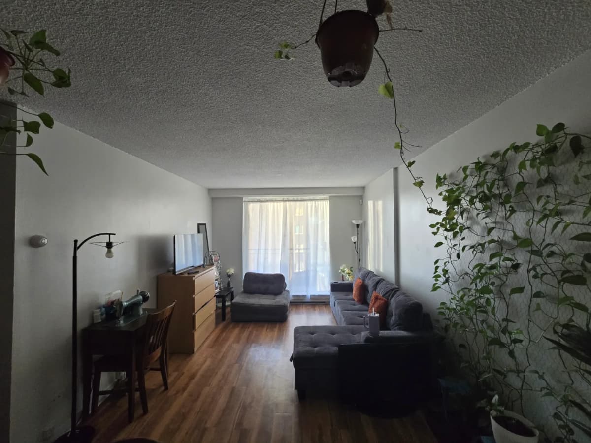 4½ à louer Ville-Marie, Montreal — photo 1 (Appartement 4½ à Montreal)