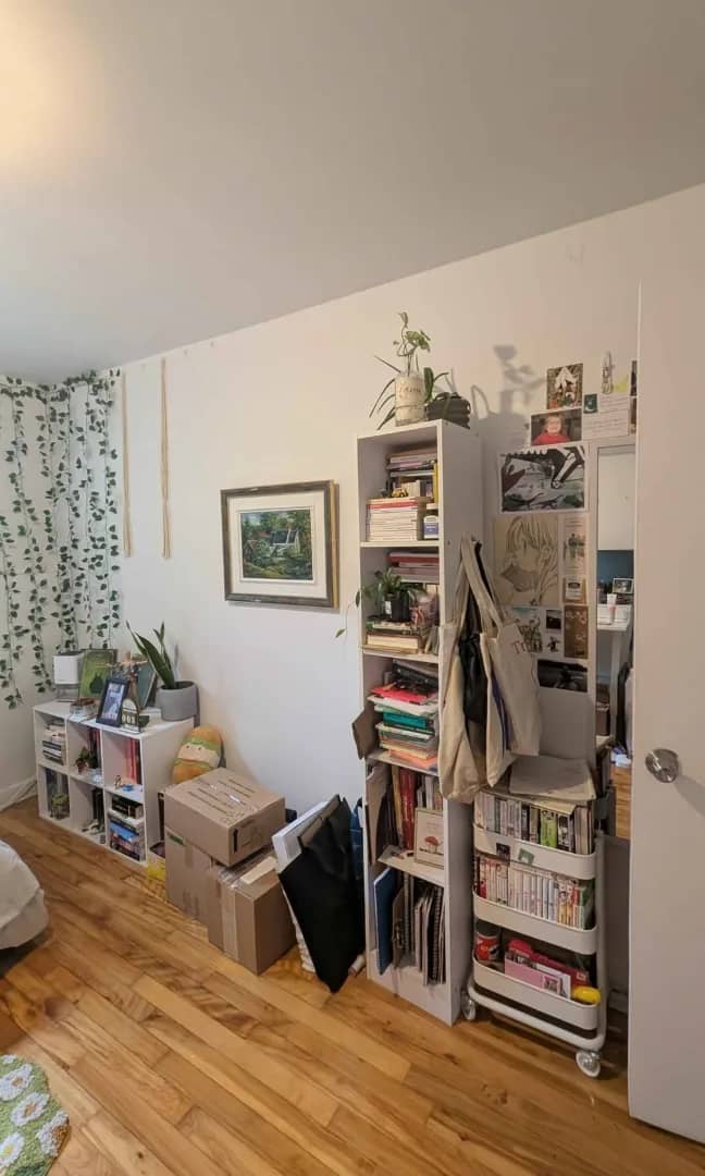 4½ à louer Mercier - Hochelaga-Maisonneuve, Montréal — photo 6 (Appartement 4½ à Montréal)