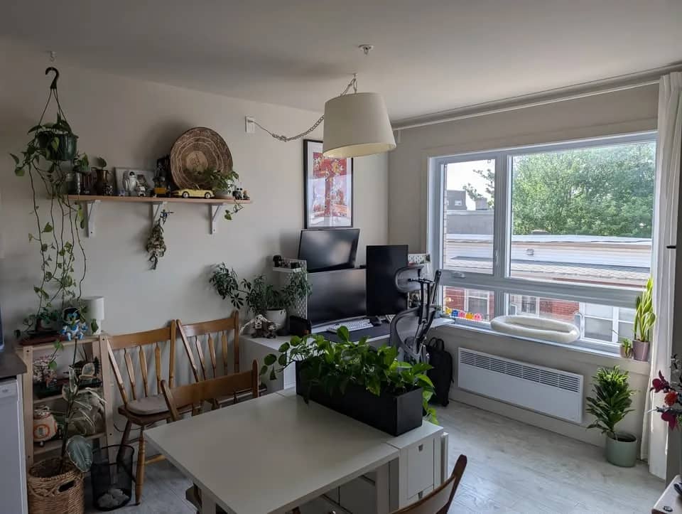 4½ à louer La Cité-Limoilou, Québec — photo 6 (Appartement 4½ à Québec)