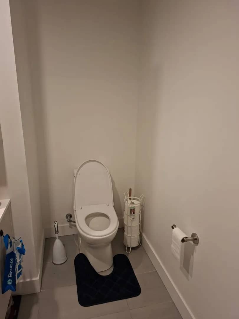 4½ à louer Le Vieux-Longueuil, Longueuil — photo 8 (Appartement 4½ à Longueuil TOUT INCLUS au metro)