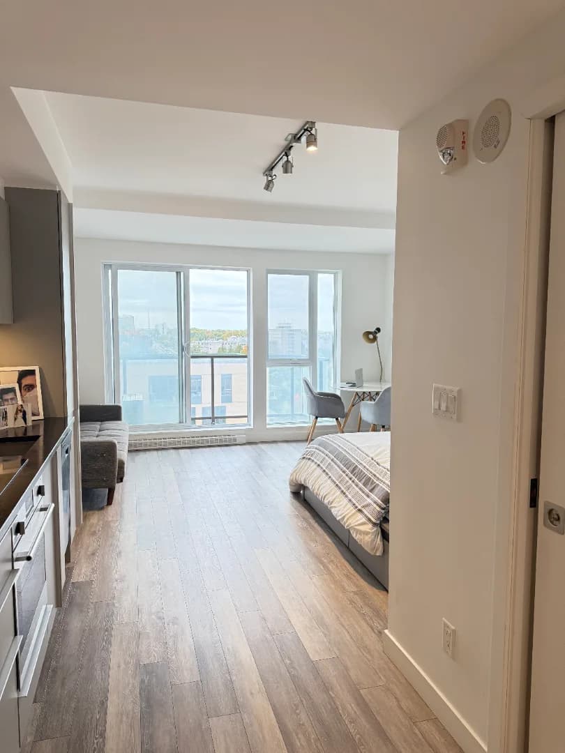 Studio à louer Sainte-Foy–Sillery–Cap-Rouge, Québec — photo 1 (Cession de bail – Studio lumineux à Sainte-Foy | 1 213 $/moi)