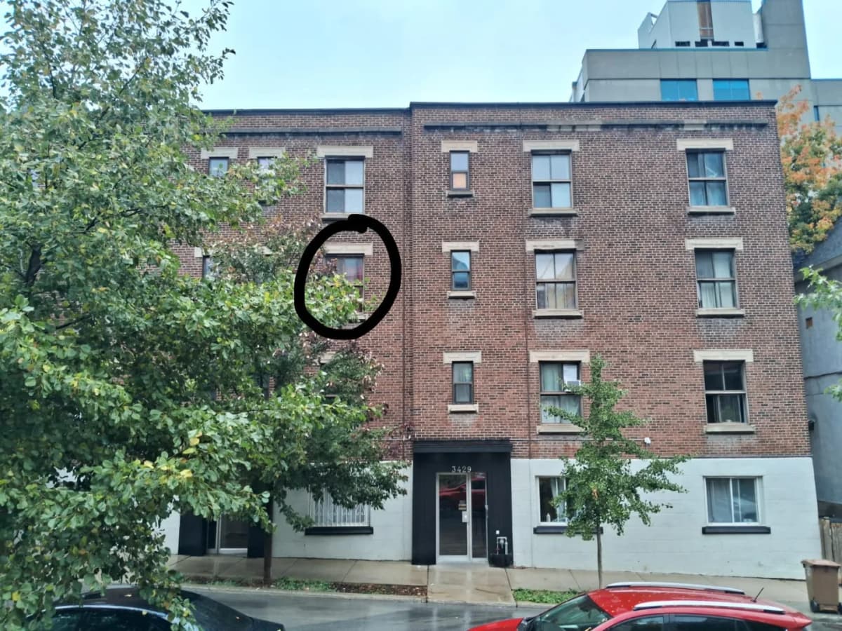 2½ à louer Le Plateau-Mont-Royal, Montréal — photo 1 (Lease transfer — furnished 2½ | all-inclusive | $1,375/month)