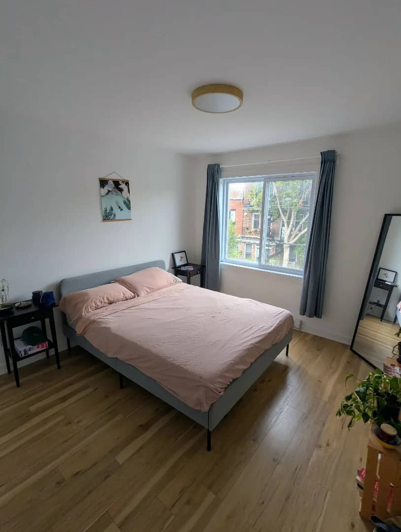 4½ à louer Rosemont - La Petite-Patrie, Montréal — photo 4 (Appartement 4½ à Montréal)