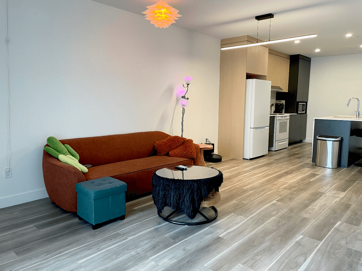 3½ à louer La Cité-Limoilou, Québec — photo 4 (Grand condo 3½ neuf à Limoilou )
